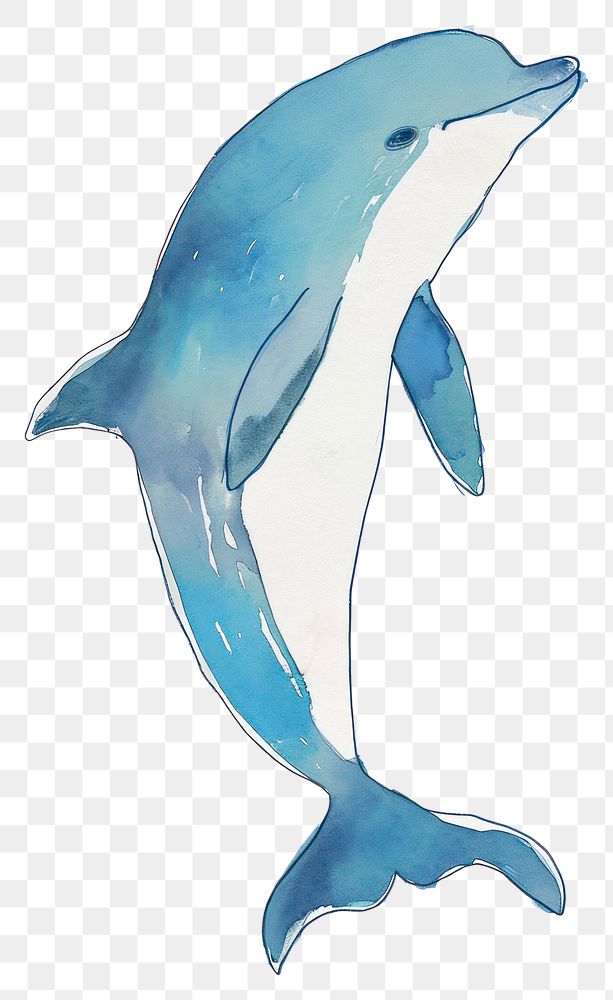PNG Cute dolphin illustration animal mammal fish.