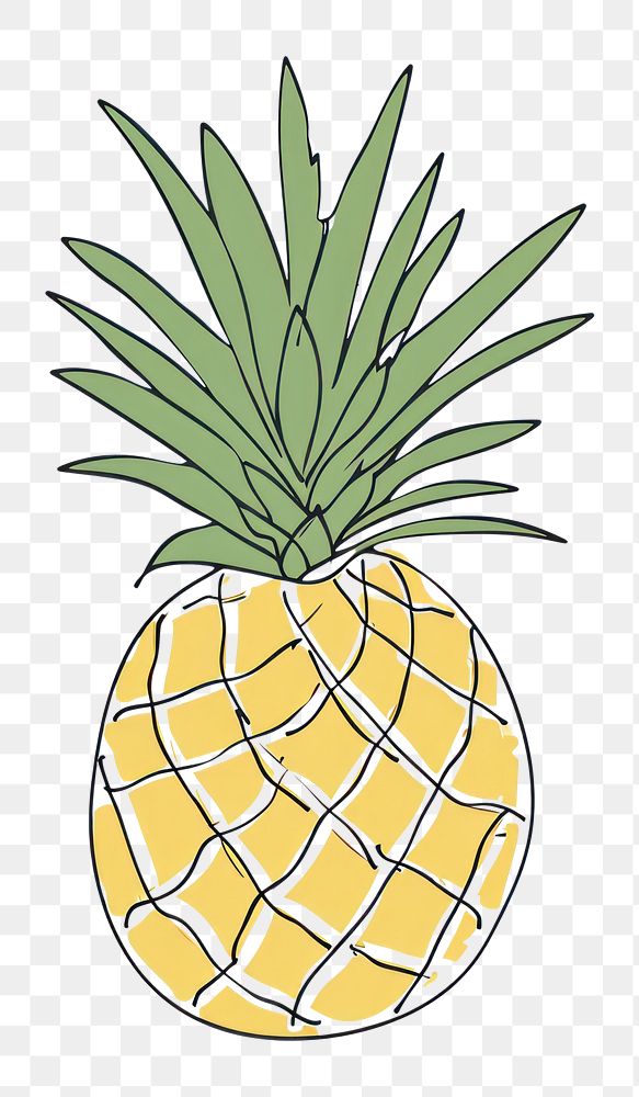 PNG Cute pineapple illustration fruit plant food.