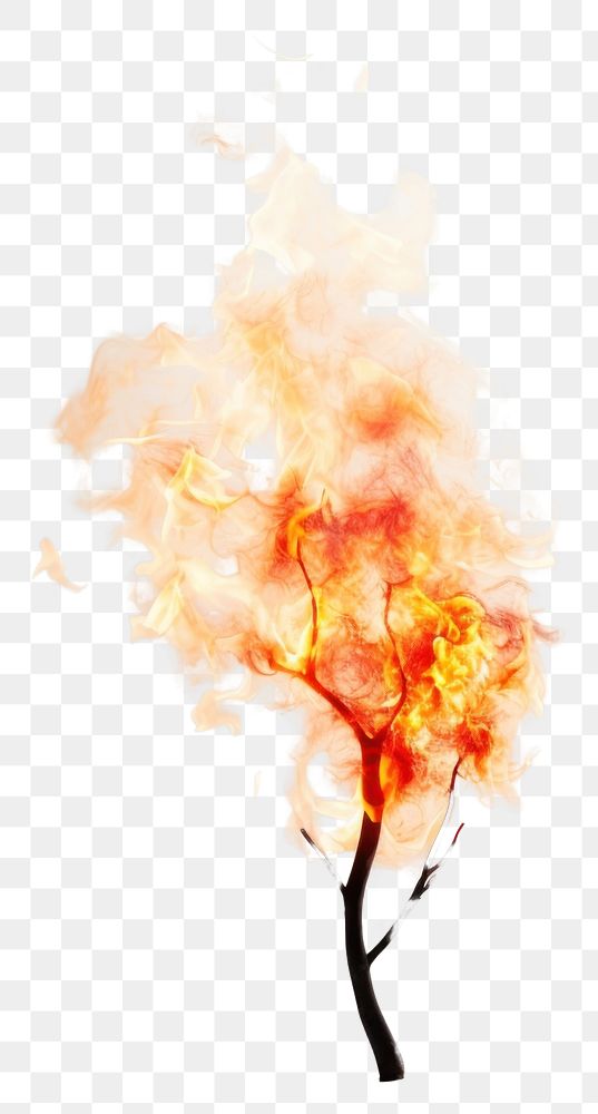 PNG Fragility exploding burning bonfire.