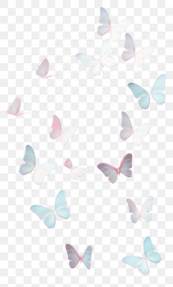 PNG  Backgrounds butterfly wallpaper petal.