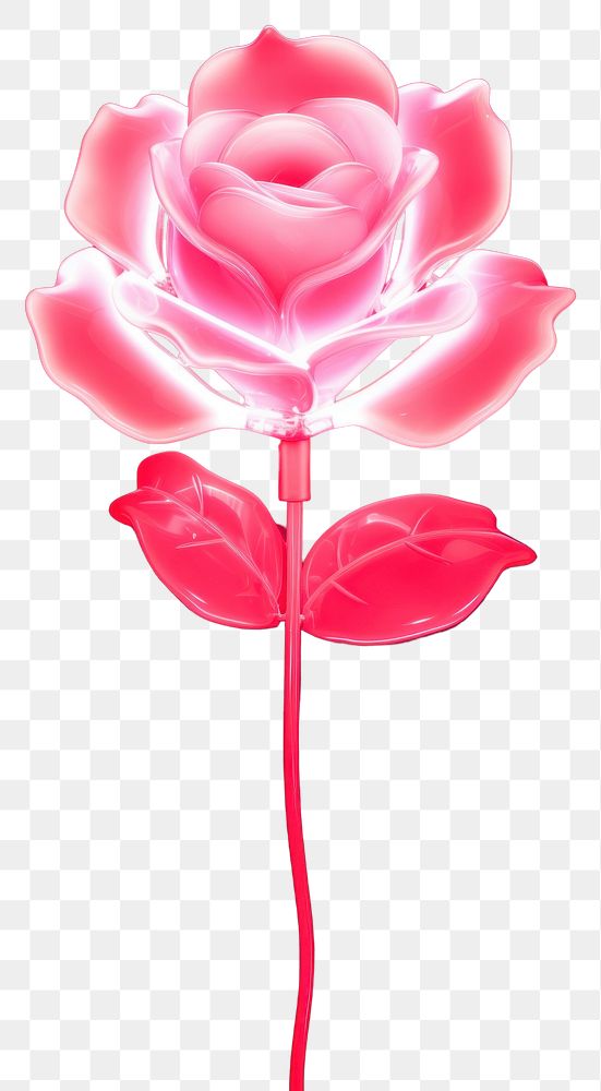 PNG  Rose flower light petal. AI generated Image by rawpixel.