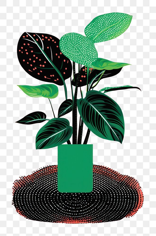 PNG Plant leaf houseplant flowerpot.