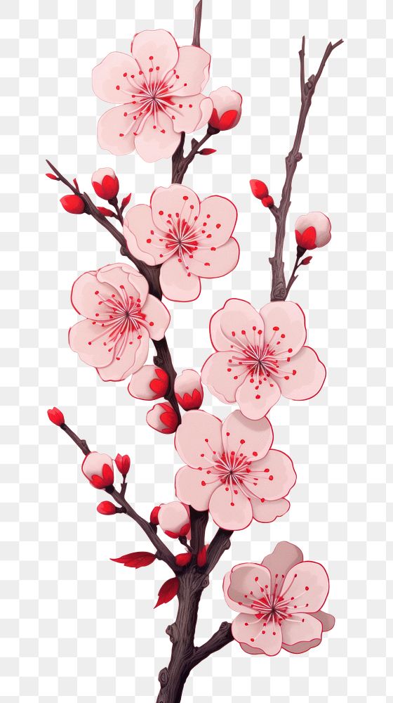 PNG  Chinese seamless plum blossom flower nature plant.