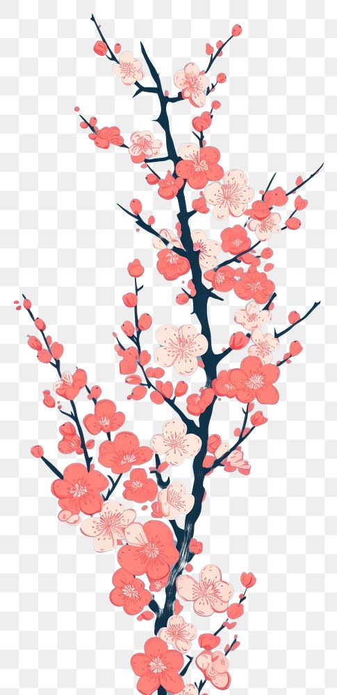 PNG  Chinese seamless plum blossom outdoors flower nature.
