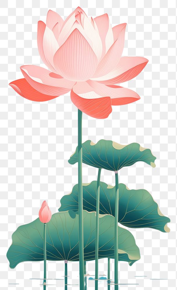 PNG  Chinese seamless lotus flower plant lily.