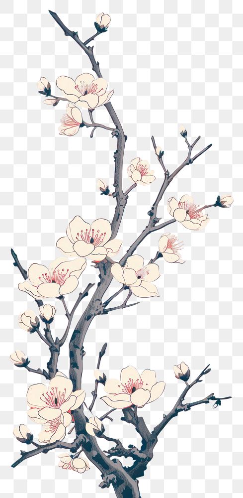 PNG  Chinese seamless plum blossom vintage art flower plant