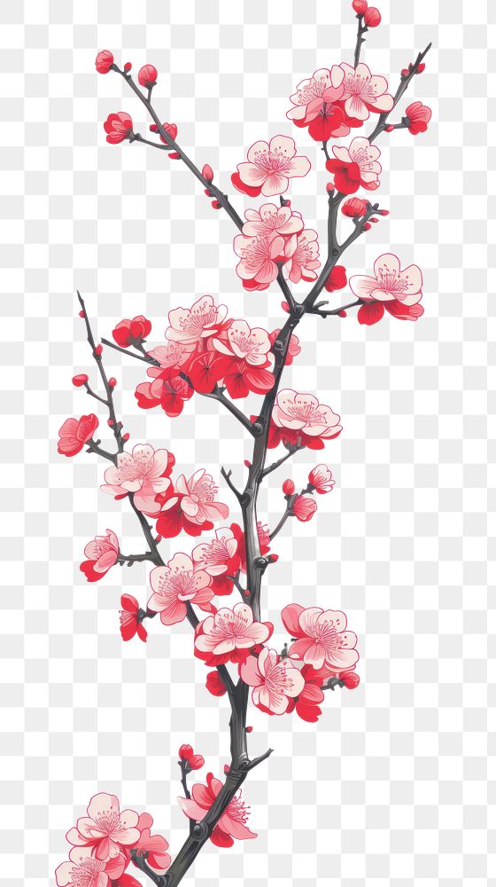 PNG  Chinese seamless plum blossom flower plant petal.