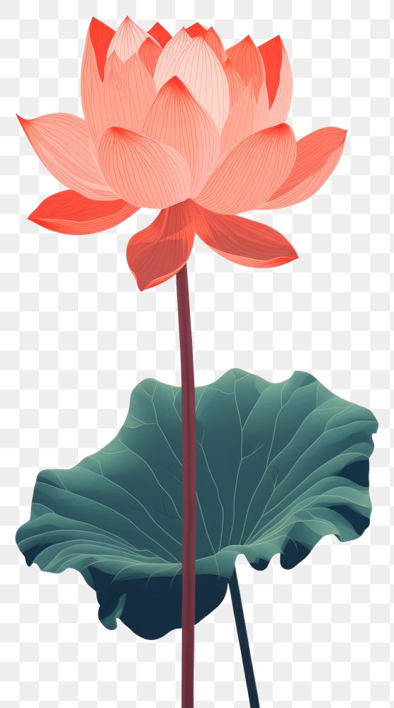 PNG  Chinese seamless lotus vintage flower plant lily.