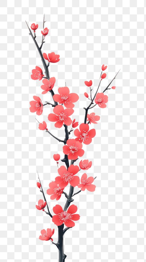 PNG  Chinese seamless plum blossom outdoors flower nature.
