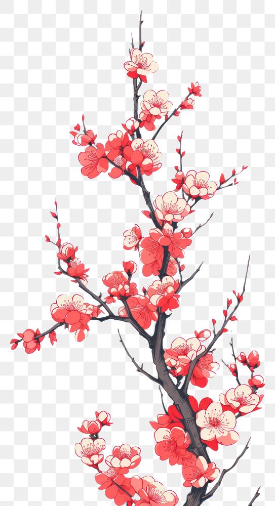 PNG  Chinese seamless plum blossom flower plant inflorescence.