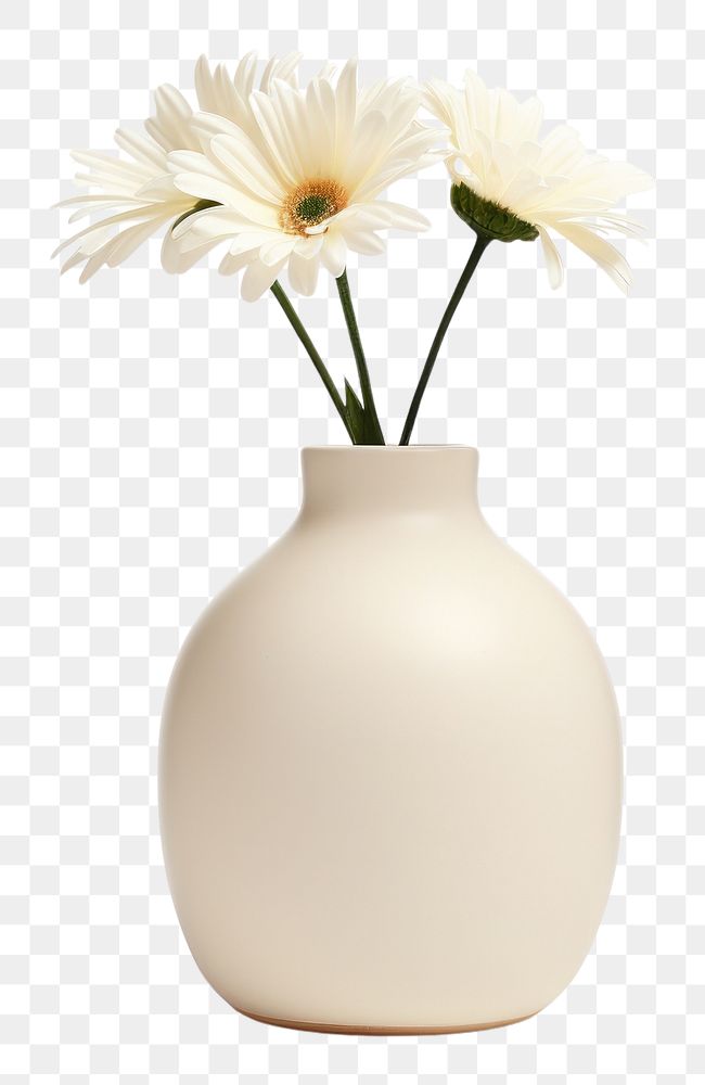 PNG A minimal off-white flower jar pottery plant vase.