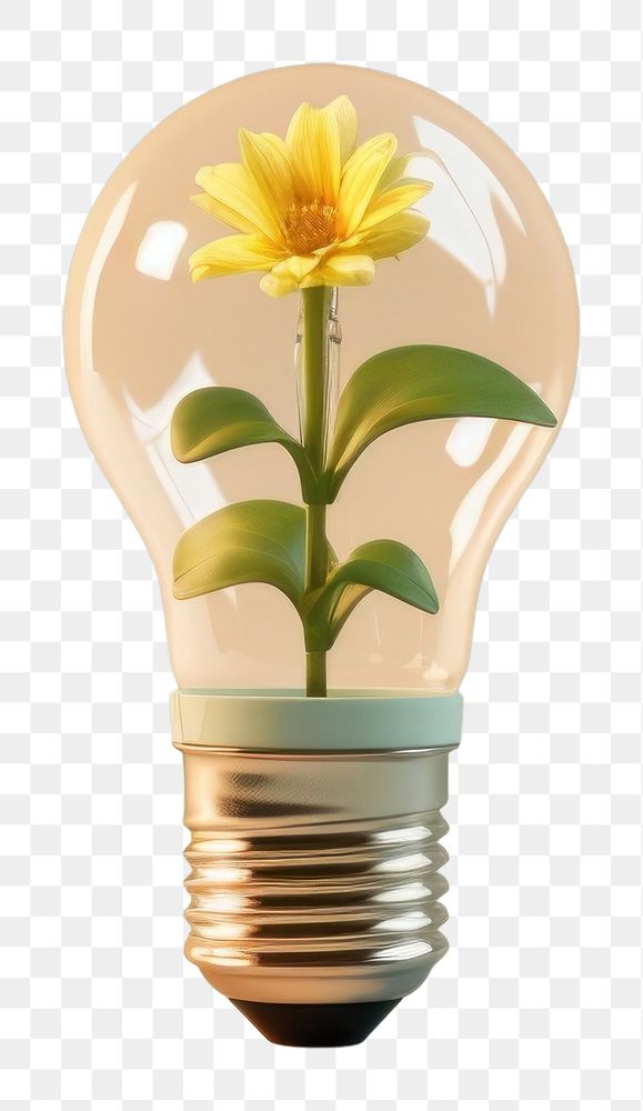 PNG  Light bulb with flower lightbulb innovation plant.