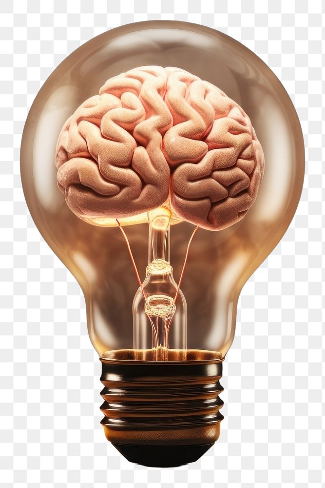 PNG  Light bulb with human brain inside lightbulb innovation electricity
