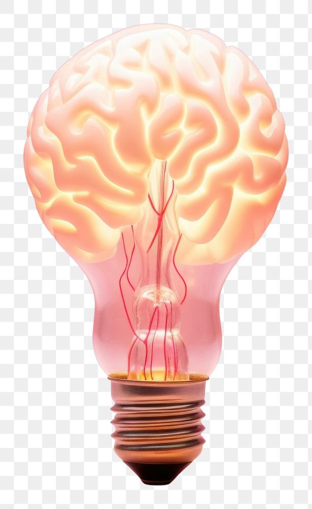 PNG  Light bulb with brain lightbulb innovation electricity.