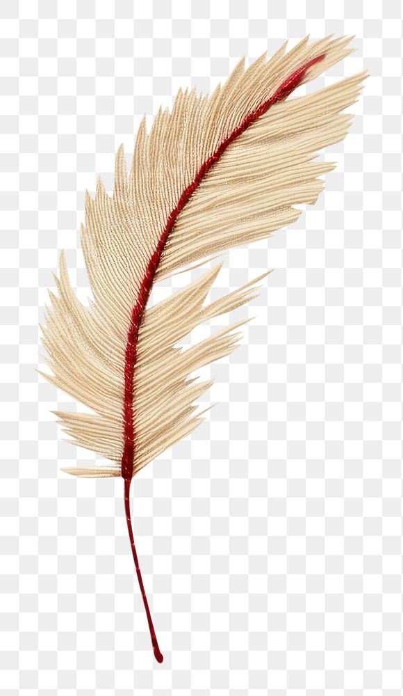PNG Feather in embroidery style leaf art lightweight.