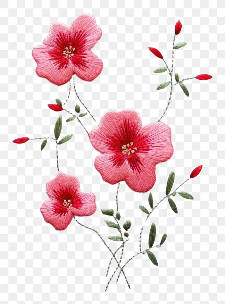 PNG Flower in embroidery style petal plant inflorescence.