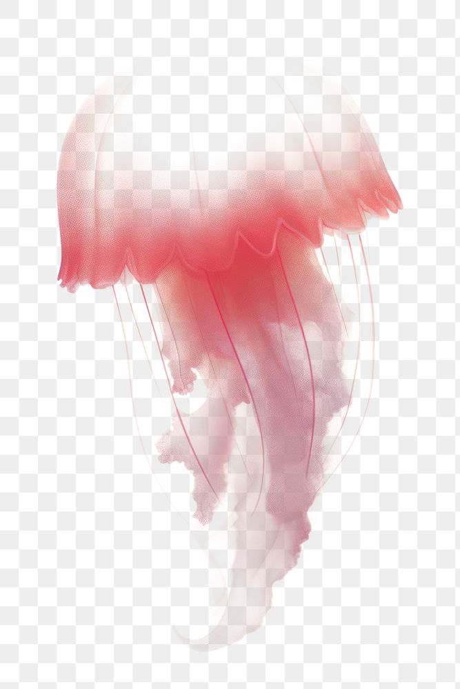 PNG  Abstract blurred gradient illustration jellyfish pink white background invertebrate.