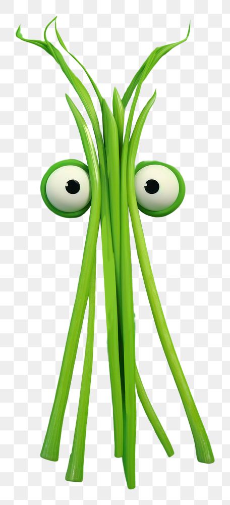 PNG Spring onion with face wallpaper vegetable green plant.
