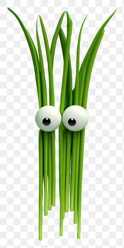 PNG Spring onion with face wallpaper green plant food.