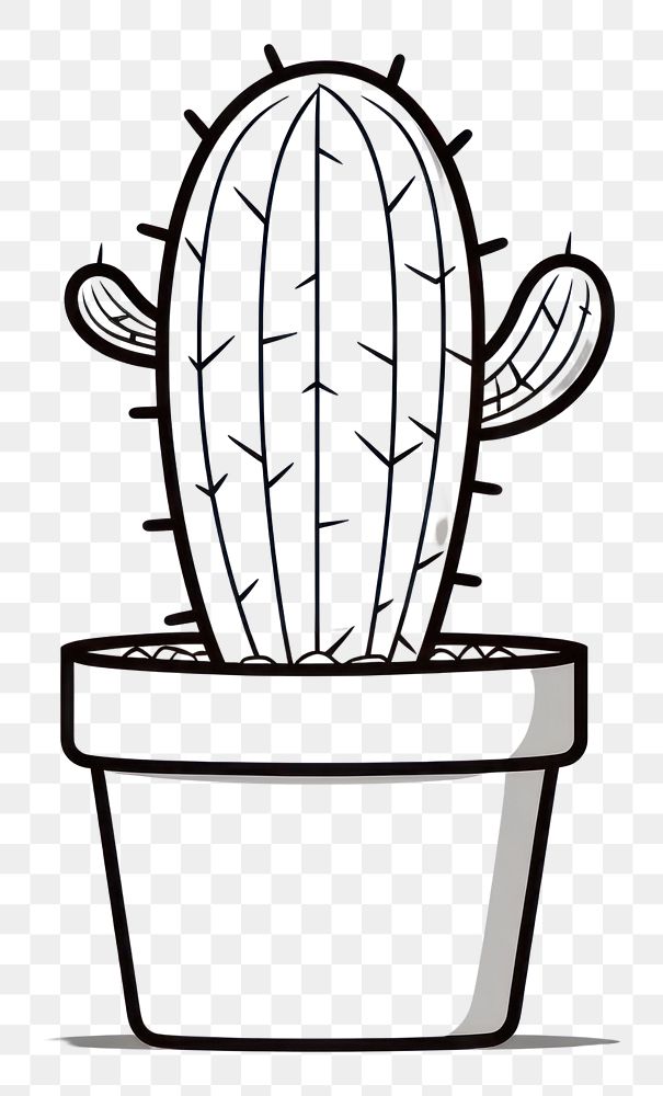 PNG A cactus sketch plant creativity.