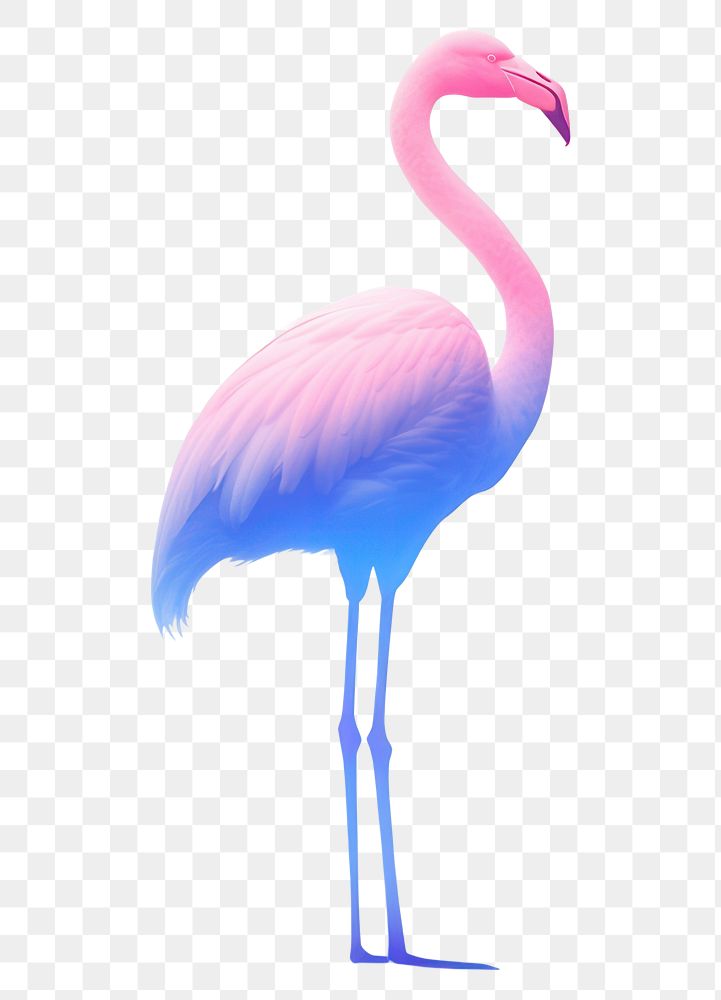 PNG  Abstract blurred gradient illustration flamingo animal bird pink.