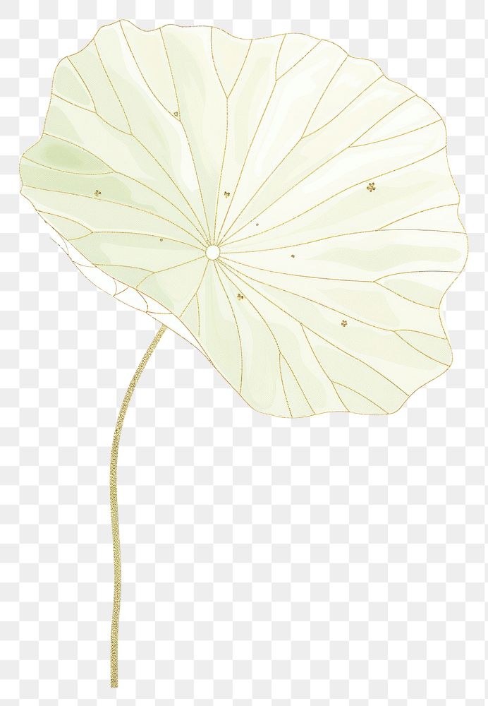 PNG Lotus leaf plant petal line.