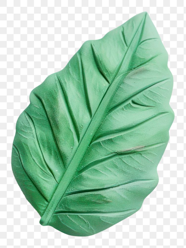 PNG A mint leaf plasticine Childish style plant freshness tobacco.