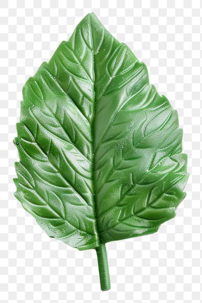 PNG A mint leaf plasticine Childish style vegetable plant food.