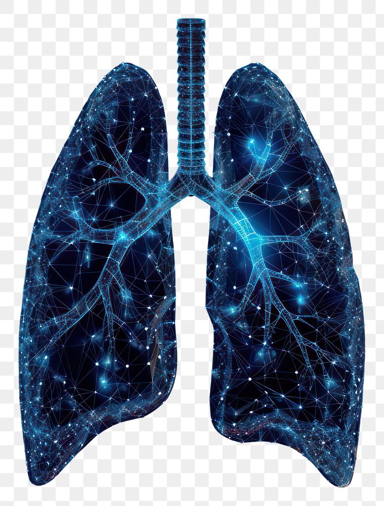 PNG  Glowing wireframe of lung blue black background radiography.