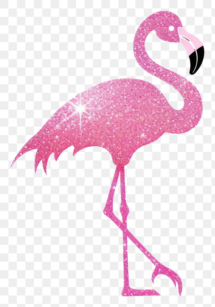 PNG Flamingo icon animal bird pink.
