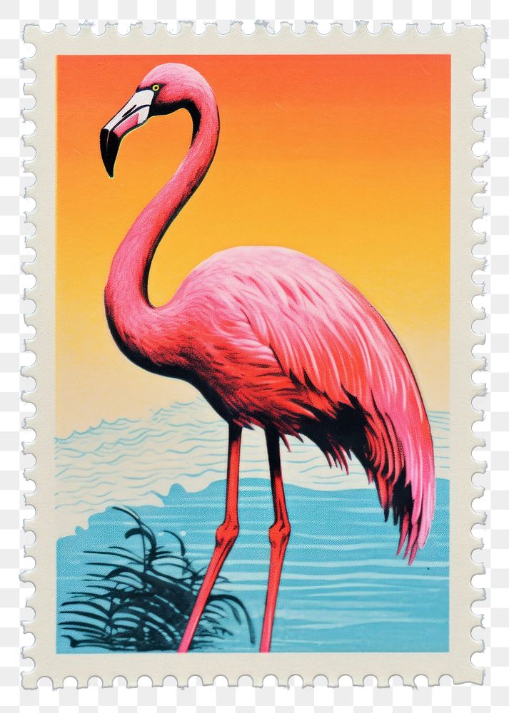 PNG  Flamingo Risograph style flamingo animal bird.