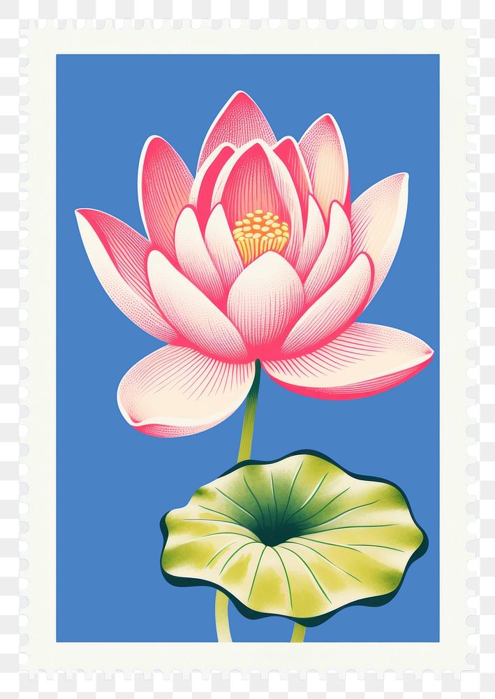 PNG  Lotus Risograph style flower petal plant.