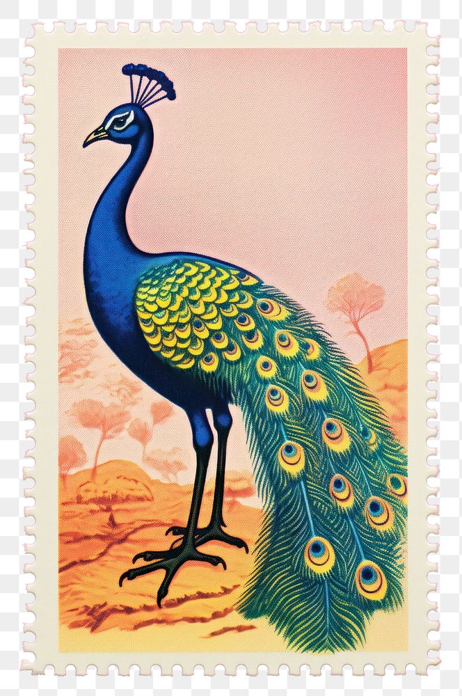 PNG  Peacock Risograph style peacock animal bird.