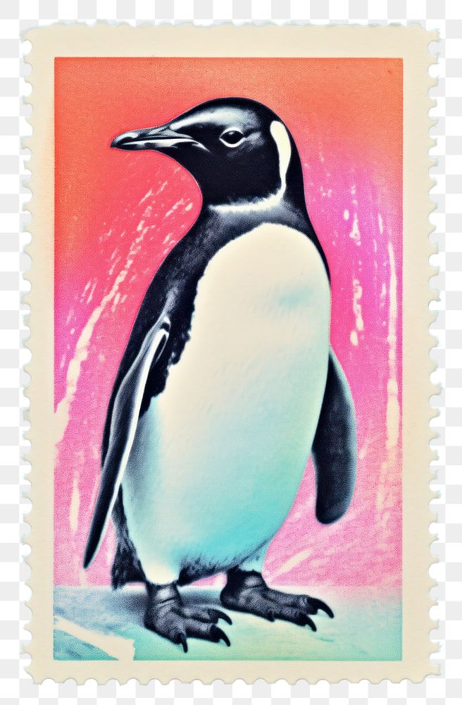 PNG  Penguin Risograph style penguin animal bird.