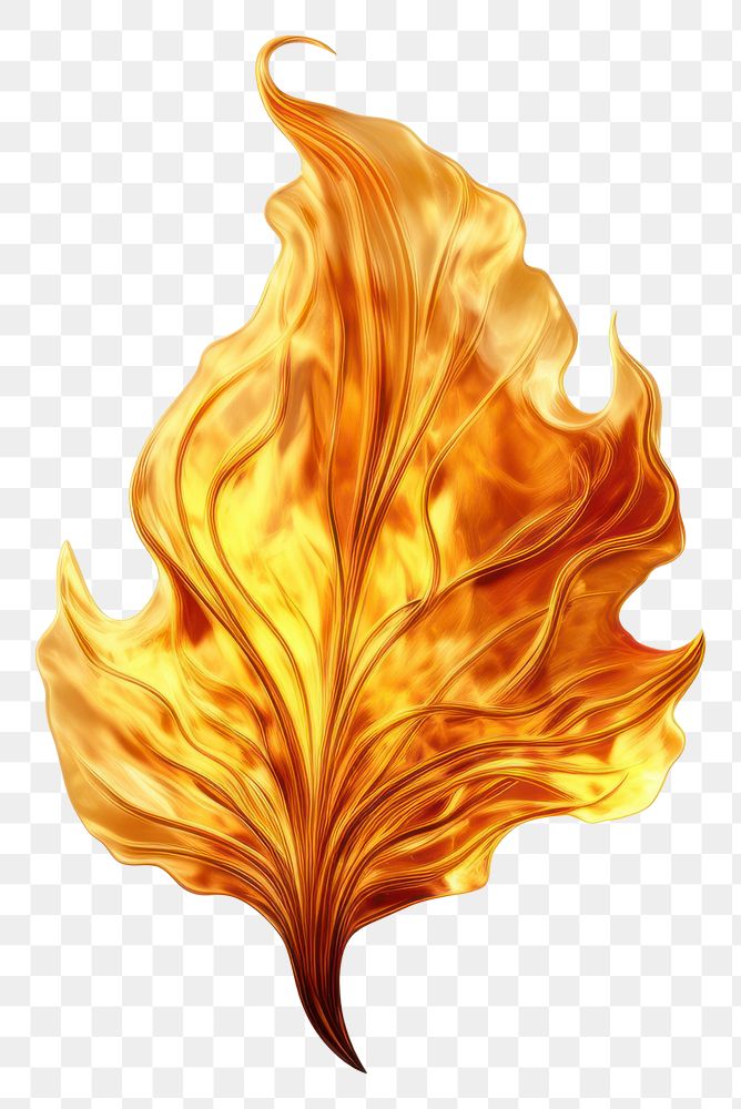 PNG Fire leaf plant flame. | Premium PNG - rawpixel