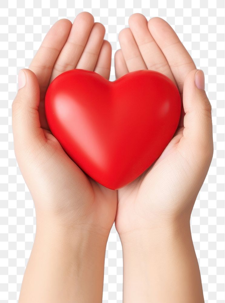 PNG Hands holding heart shape plastic romance produce finger.