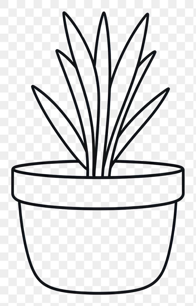 PNG Pot plant cartoon drawing line.