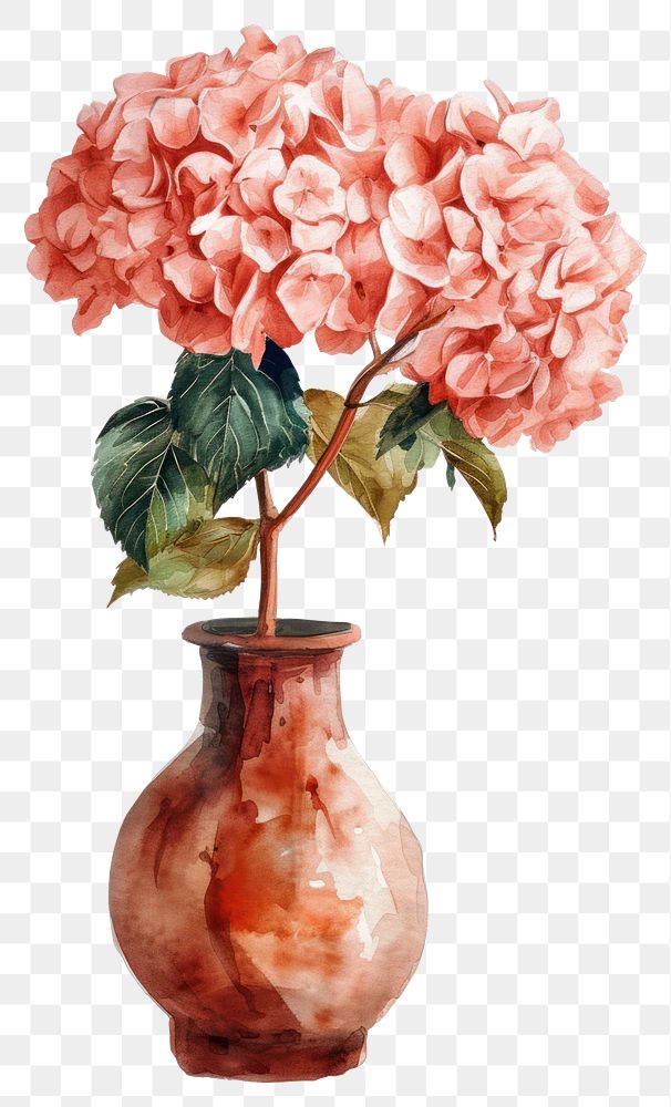 PNG  Vase flower watercolor art hydrangea plant.