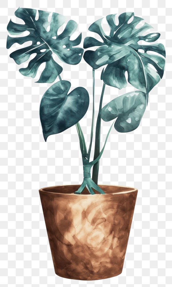 PNG  Plant pot watercolor green vase leaf.