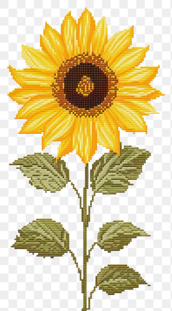 Cross stitch sunflower pattern plant inflorescence creativity.