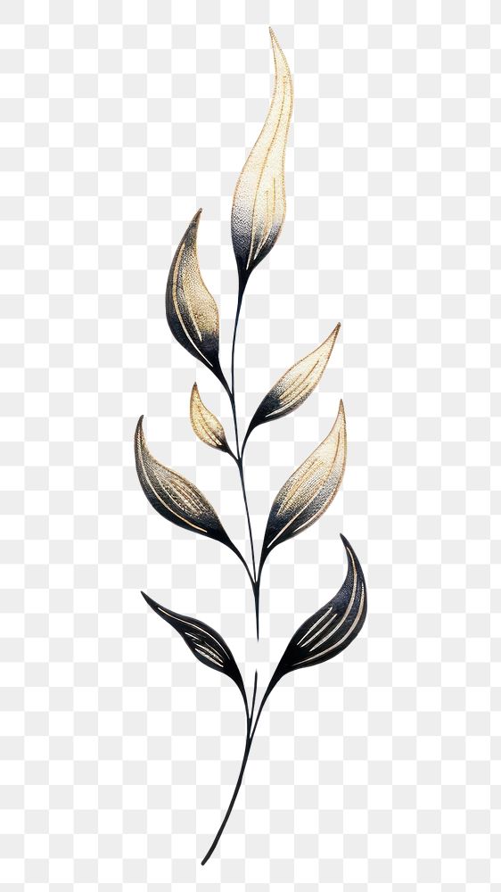 PNG Leaf plant celestial pattern drawing calligraphy