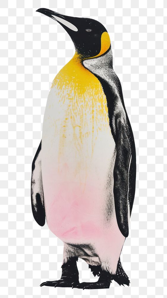 PNG Silkscreen of a penguin animal nature yellow.