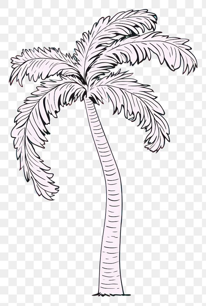 PNG  Palm tree cartoon drawing plant.
