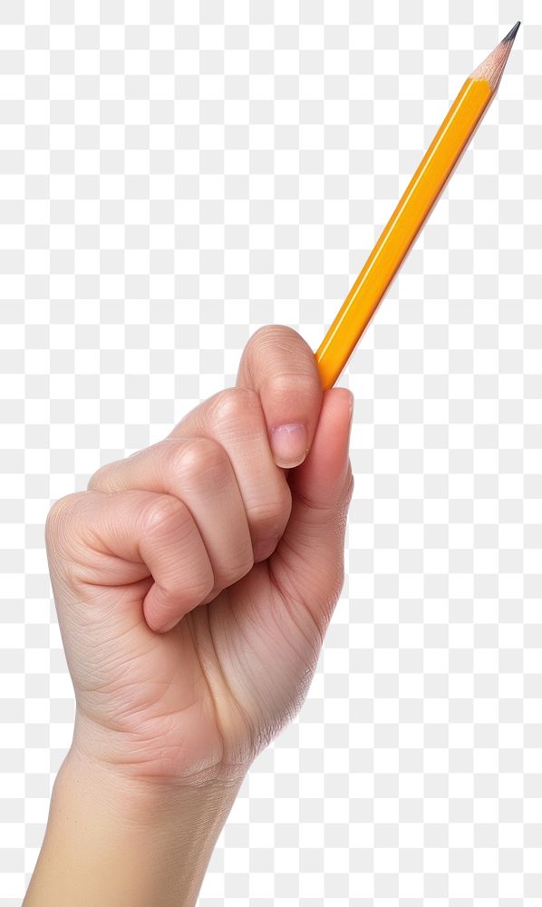 PNG Pencil holding writing eraser.