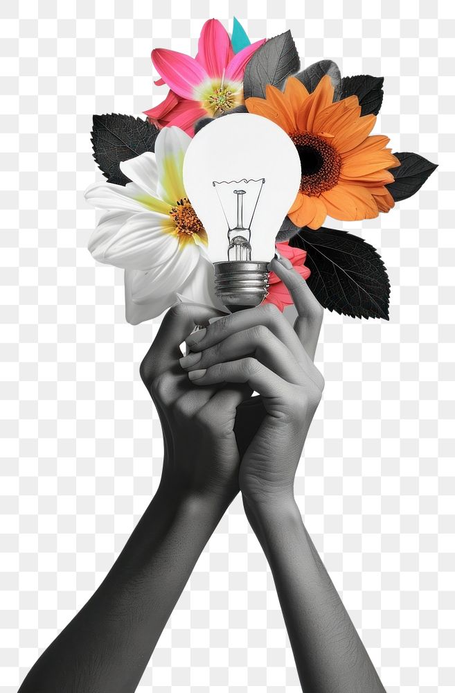 PNG  Person holding light bulb flower lightbulb adult