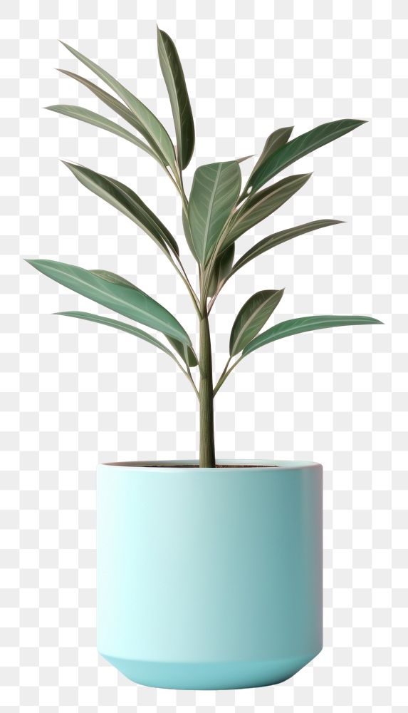 PNG Plant pot flower leaf vase.