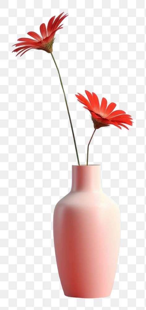 PNG Vase flower plant red.