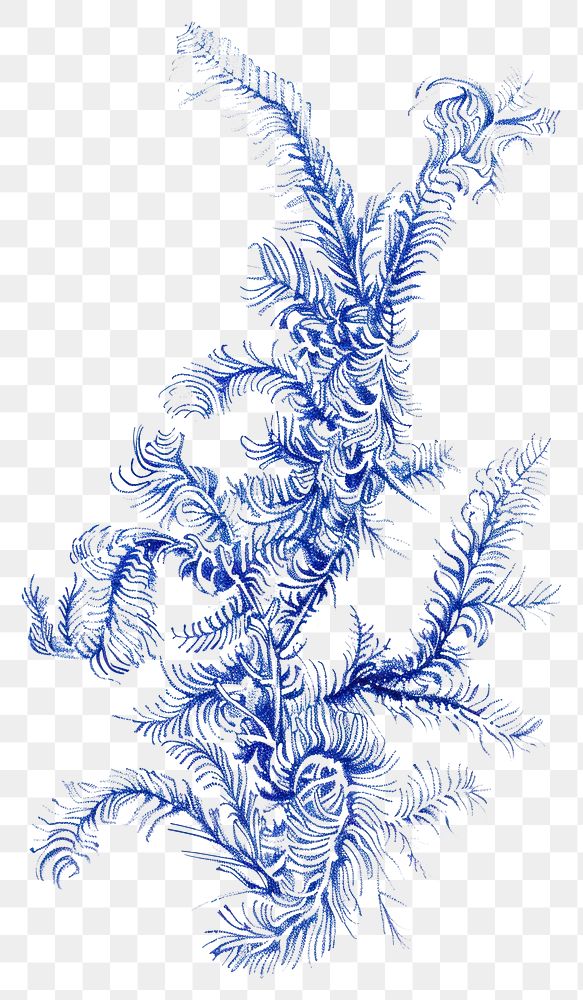 PNG Vintage drawing chenille plant pattern sketch blue.
