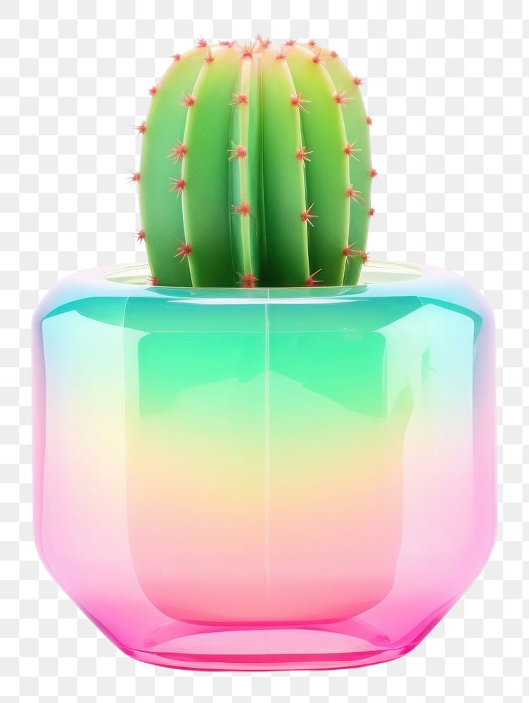 PNG Cactus glass plant vase.