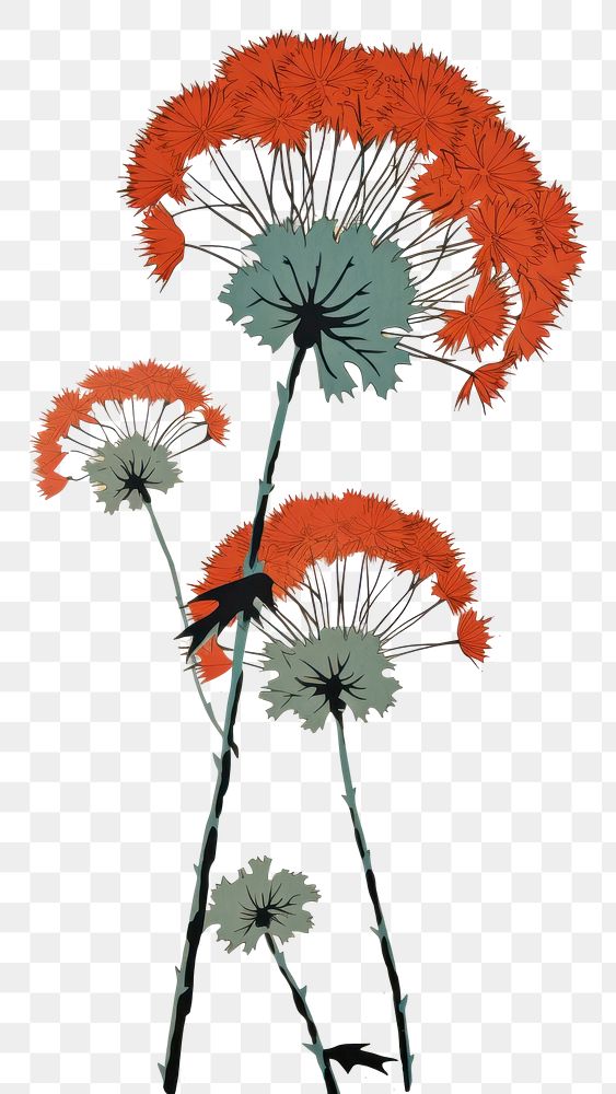 PNG An isolated dandelion flower art plant.